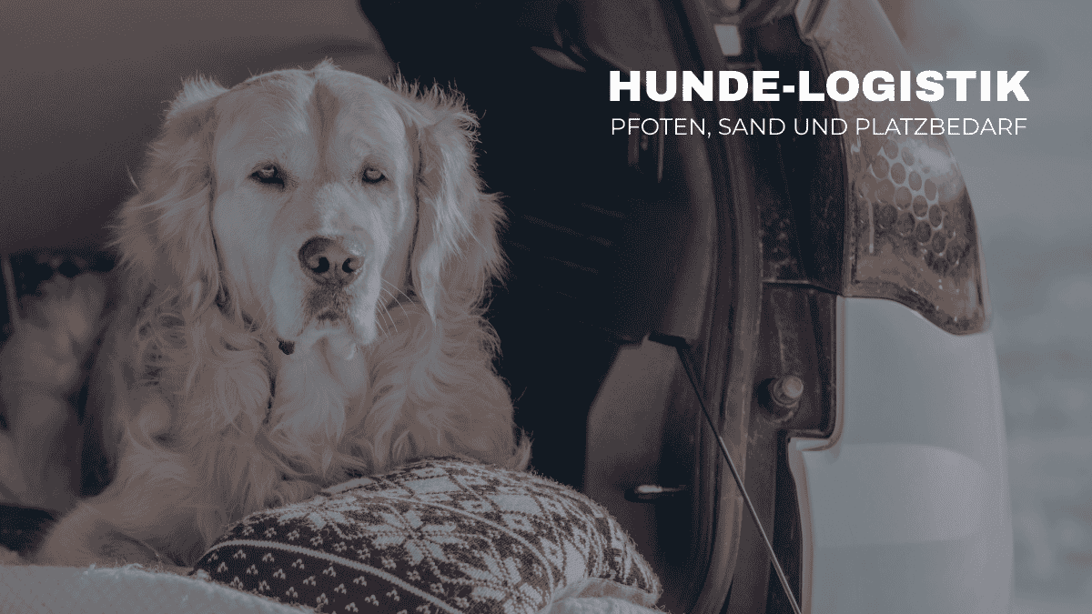 Hunde-Logistik Test im WaTTamWaTT Tech Lab: Prüfung von Platzbedarf, Hundegittern und Material-Resistenz im E-Auto.