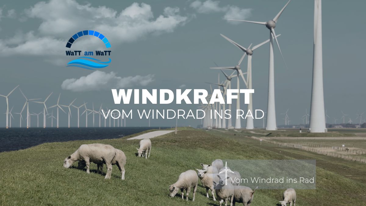 Windkraftanlagen am Deich mit Schafen als Symbol für die Sektorenkopplung und Heimat-Energie im WaTTamWaTT Tech Lab.
