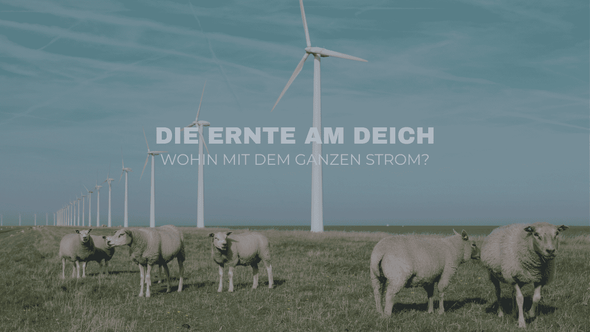 Windkraftanlagen am Deich als Energiequelle für E-Mobilität: Warum Elektroautos der ideale Speicher für Geisterstrom in Ostfriesland sind – WaTTamWaTT Tech Lab.